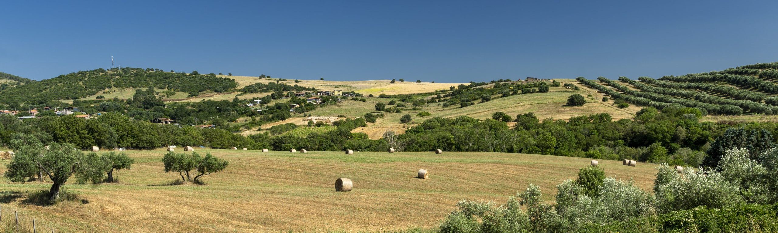 rural-landscape-near-tuscania-lazio-2021-08-26-17-19-35-utc-scaled-e1652697542306-1